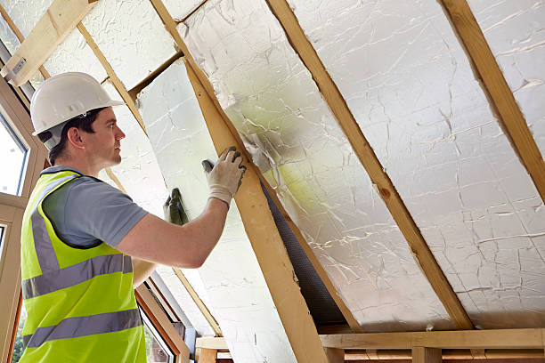 Best Commercial Insulation Services  in Grifton, NC